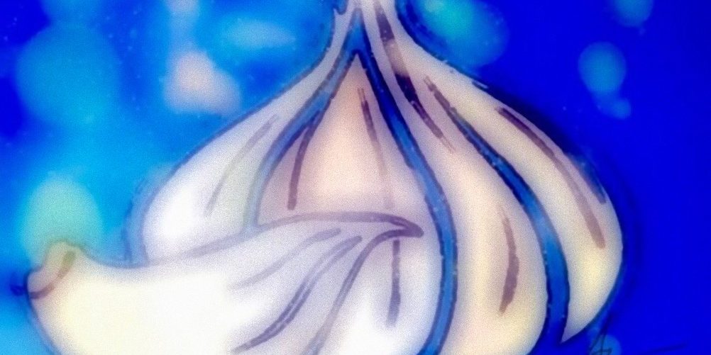 Sono-felice_copertina Sono Felice